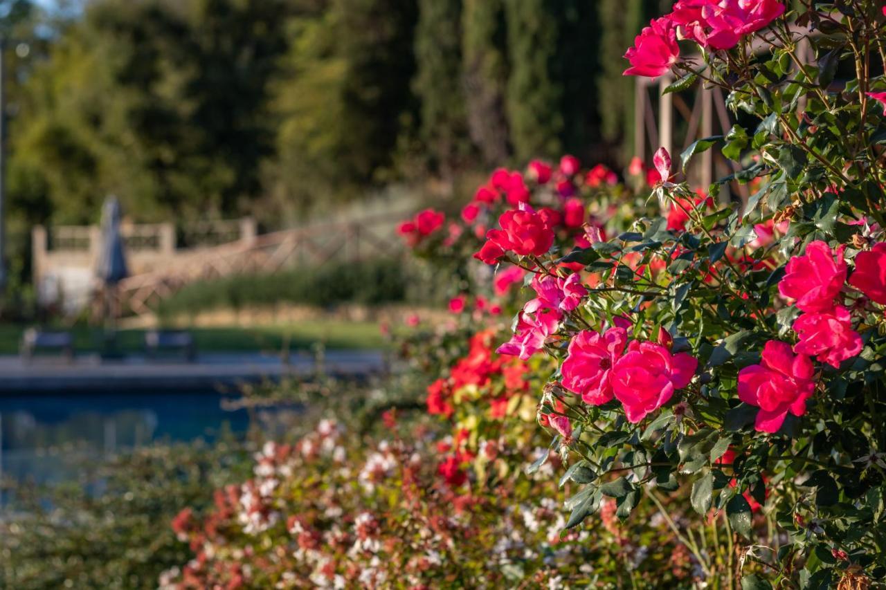 Chimera Tuscany Resort Arezzo Luaran gambar