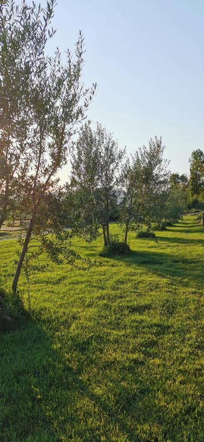Chimera Tuscany Resort Arezzo Luaran gambar